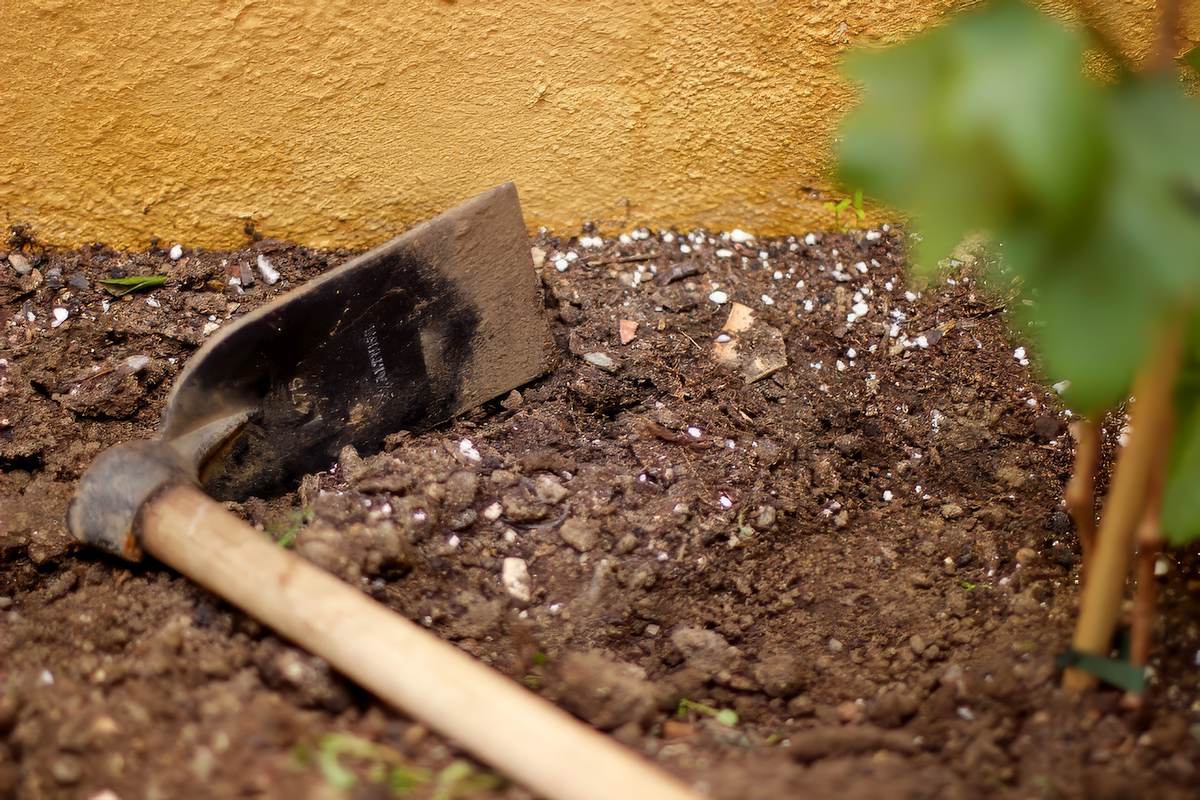 What's the Best Time to Plant Grass Seed in Utah?