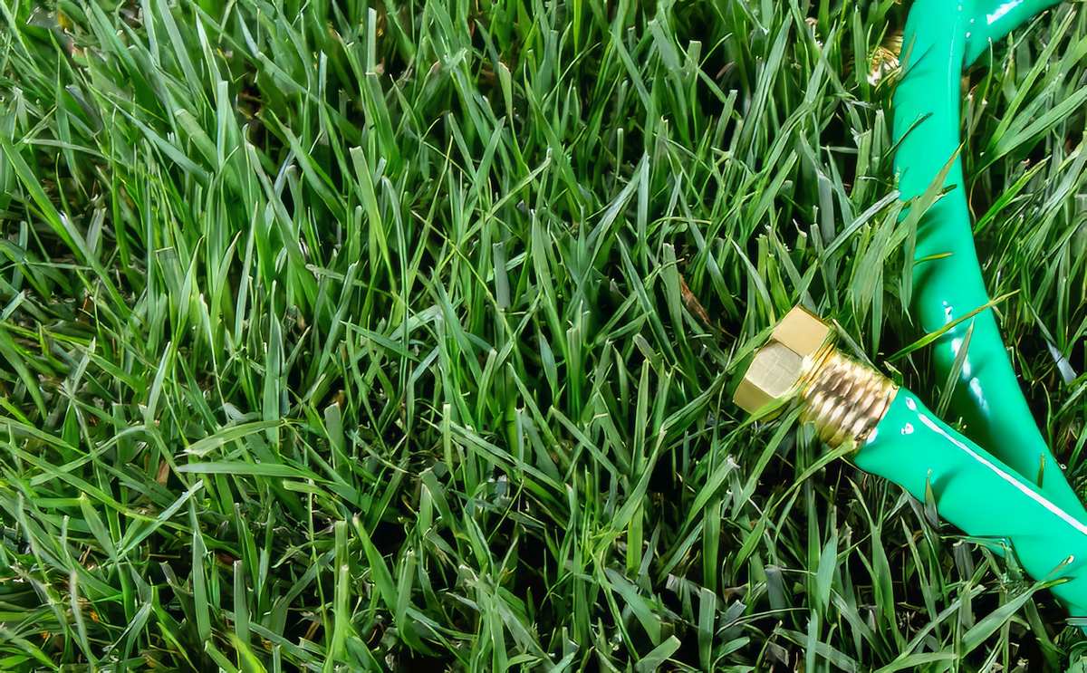 What's the Best Time to Plant Grass Seed in Utah?