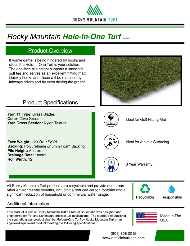 hole in one turf review