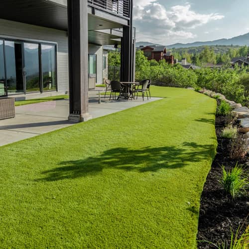 turf within landscaping