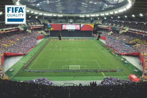 montreal stadium