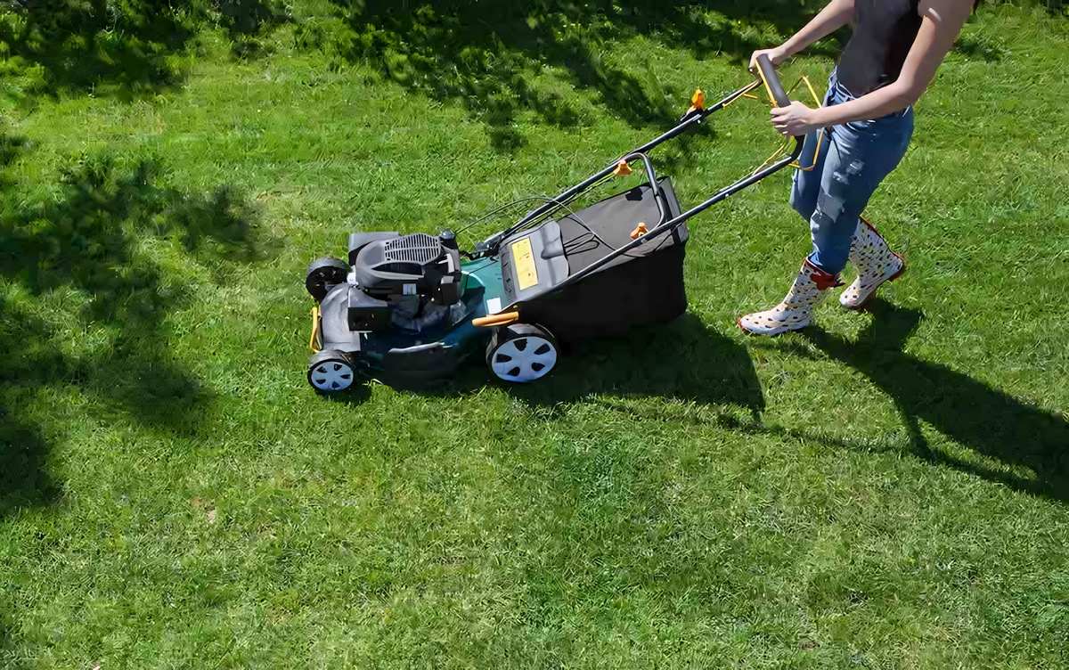 Grass Maintenance Mowing