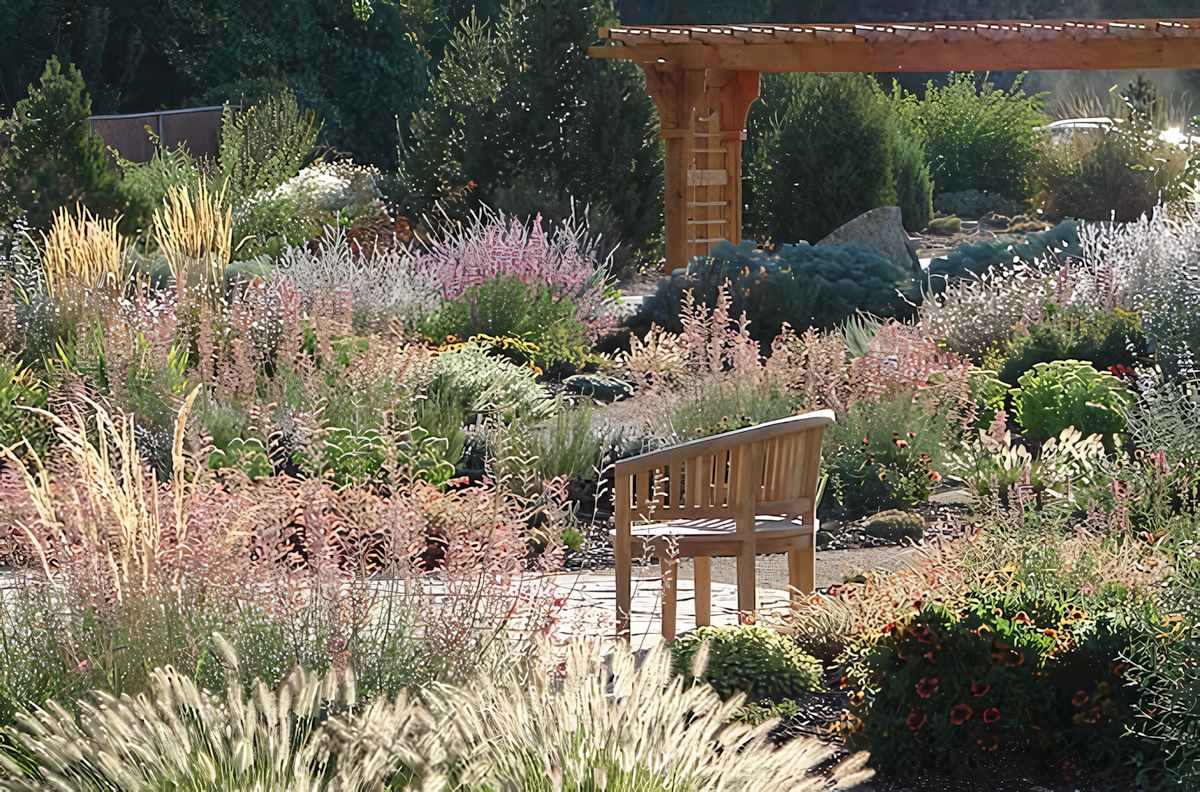 Native Utah Plants in Yard