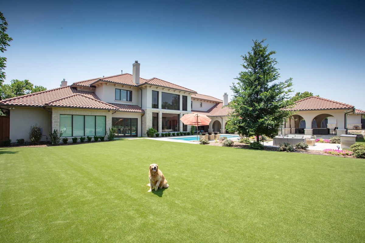 Best Grass Seed for Utah Lawns